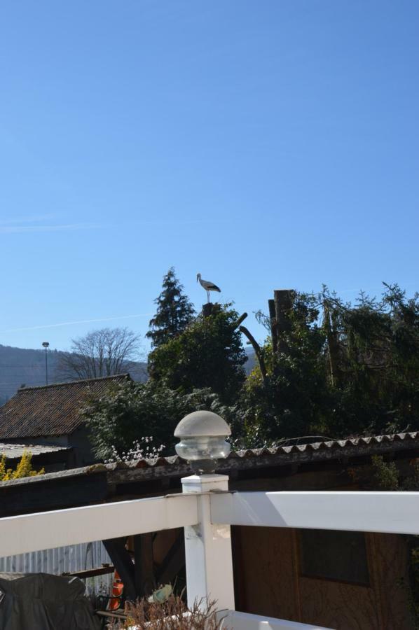 Gite Les Glycines 68230 Turckheim Dış mekan fotoğraf
